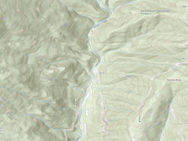 USGS topographic map of USFS dispersed camp — ID #420