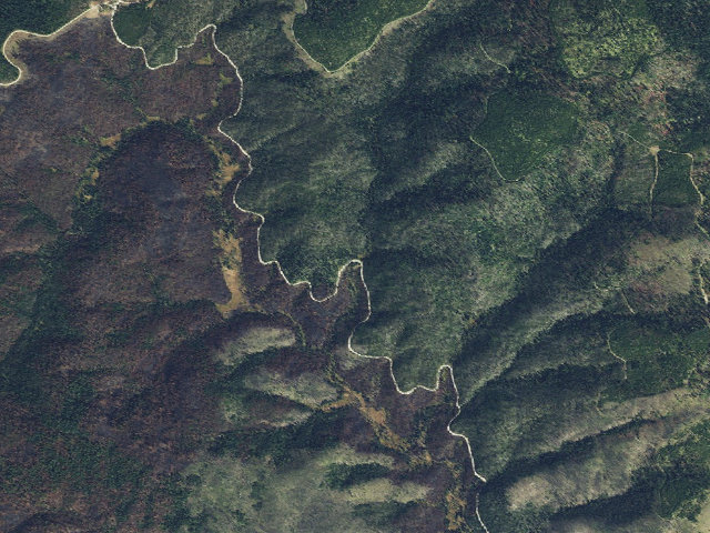 Aerial image of USFS dispersed camp — ID #425