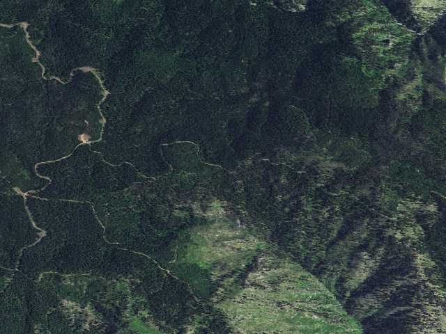Aerial image of USFS dispersed camp — ID #43