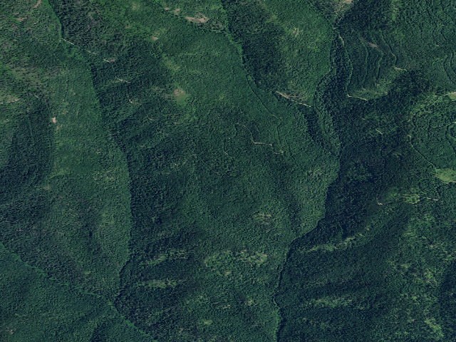 Aerial image of USFS dispersed camp — ID #433