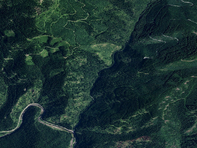 Aerial image of USFS dispersed camp — ID #434