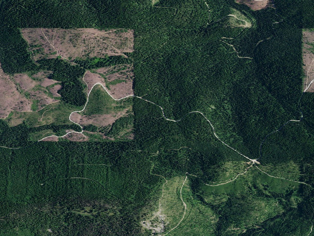 Aerial image of USFS dispersed camp — ID #436