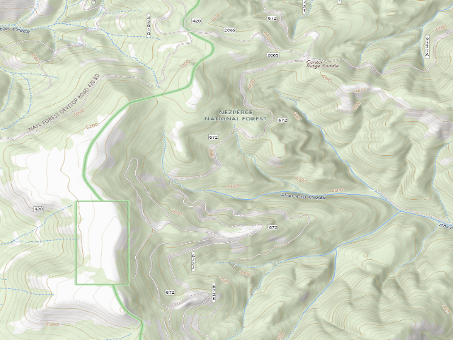 USGS topographic map of USFS dispersed camp — ID #441