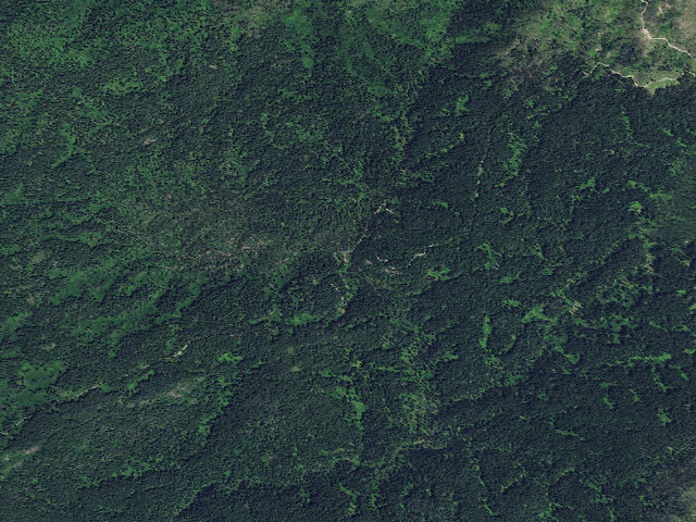 Aerial image of USFS dispersed camp — ID #442