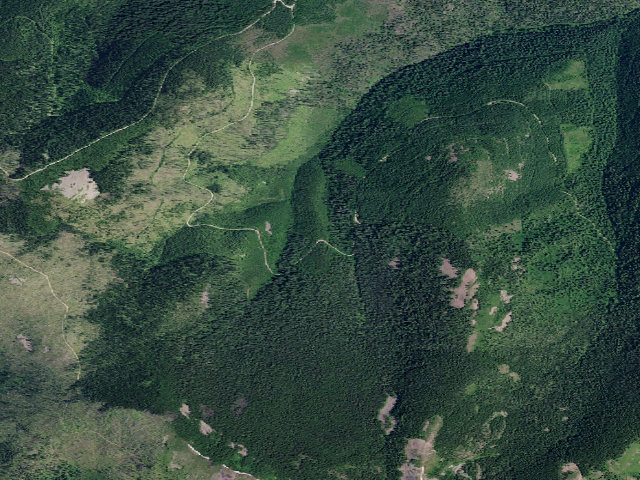 Aerial image of USFS dispersed camp — ID #444