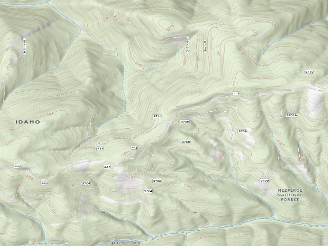 USGS topographic map of USFS dispersed camp — ID #445
