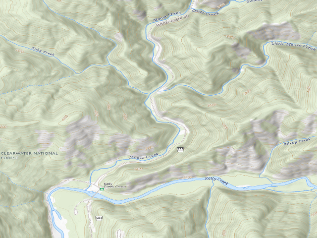 USGS topographic map of USFS dispersed camp — ID #450