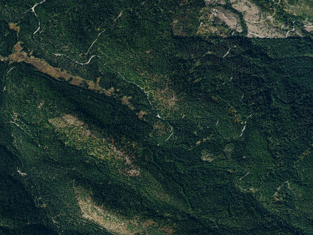 Aerial image of USFS dispersed camp — ID #454