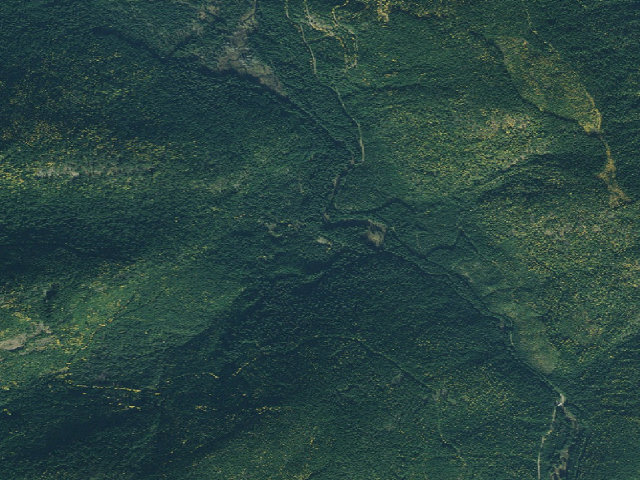 Aerial image of USFS dispersed camp — ID #455