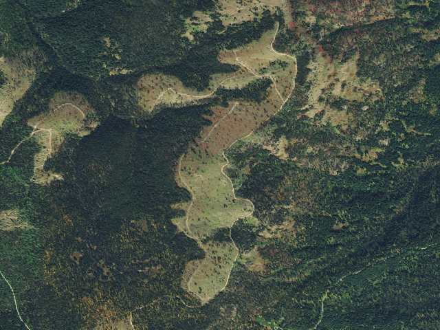 Aerial image of USFS dispersed camp — ID #456