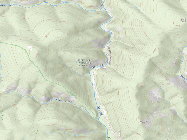 USGS topographic map of USFS dispersed camp — ID #460