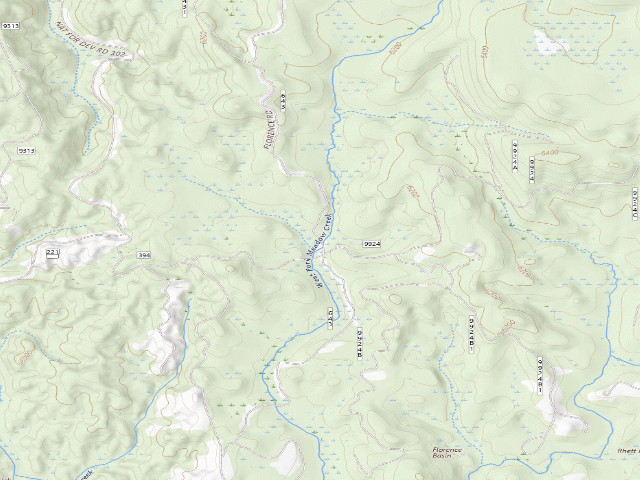 USGS topographic map of USFS dispersed camp — ID #463