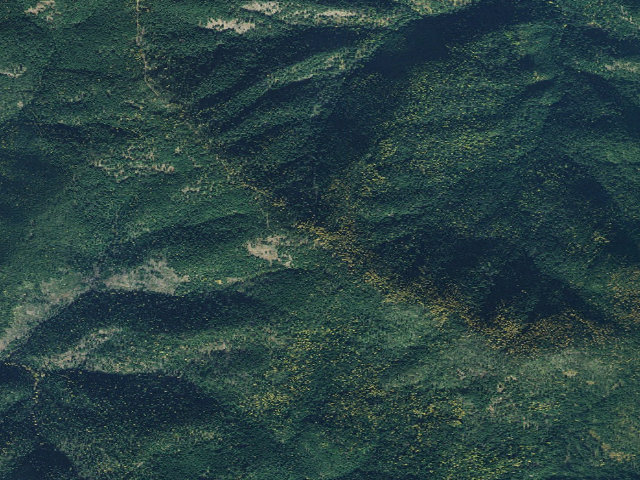 Aerial image of USFS dispersed camp — ID #466