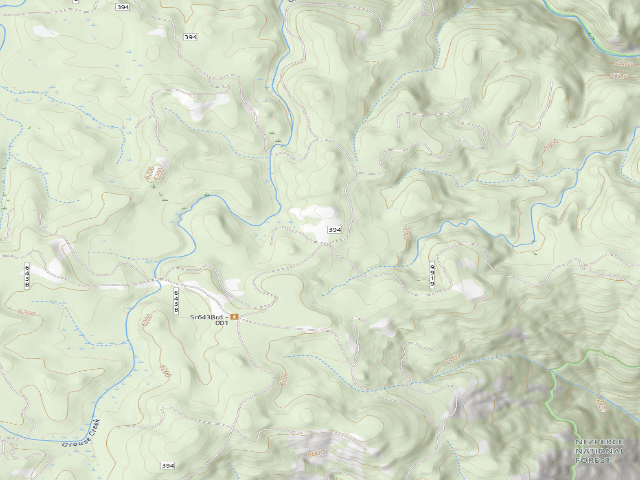 USGS topographic map of USFS dispersed camp — ID #484
