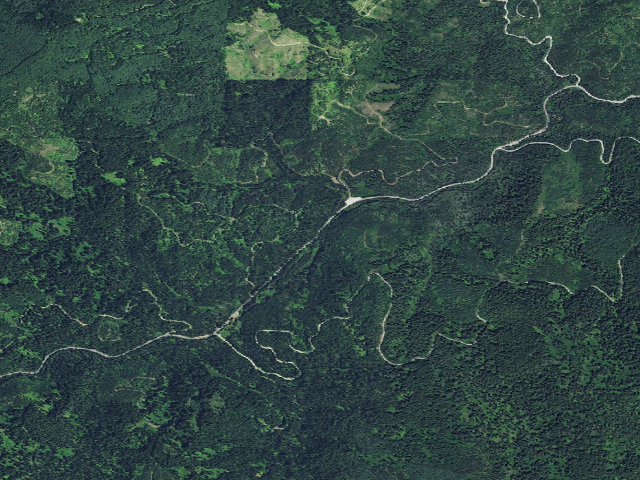 Aerial image of USFS dispersed camp — ID #491