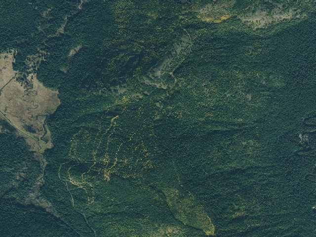 Aerial image of USFS dispersed camp — ID #495