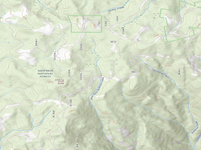 USGS topographic map of USFS dispersed camp — ID #5