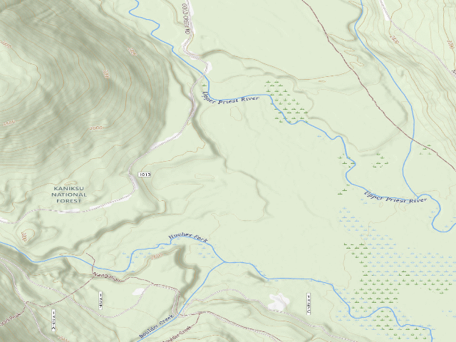 USGS topographic map of USFS dispersed camp — ID #5