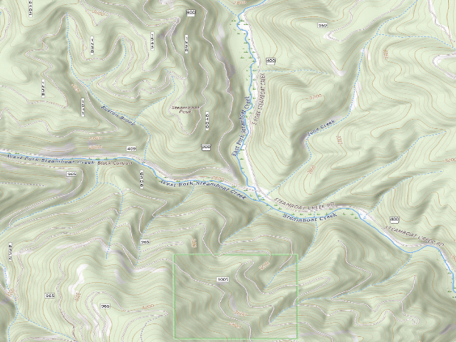 USGS topographic map of USFS dispersed camp — ID #50