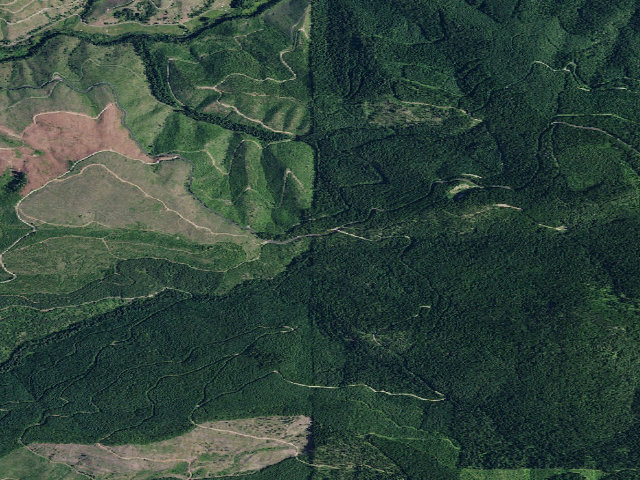 Aerial image of USFS dispersed camp — ID #514