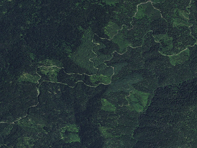 Aerial image of USFS dispersed camp — ID #522