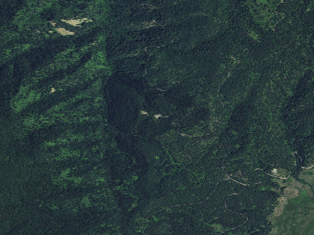 Aerial image of USFS dispersed camp — ID #525