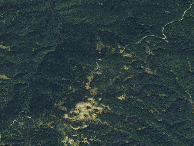 Aerial image of USFS dispersed camp — ID #528
