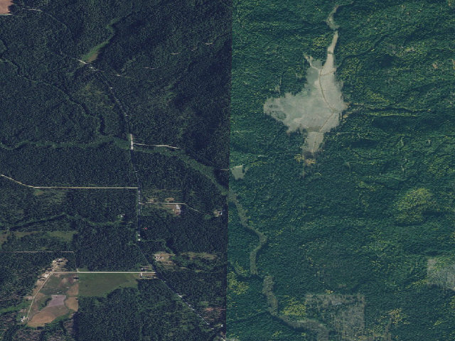 Aerial image of USFS dispersed camp — ID #532