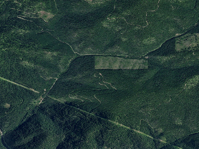 Aerial image of USFS dispersed camp — ID #536