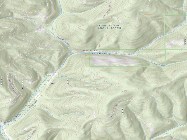 USGS topographic map of USFS dispersed camp — ID #536