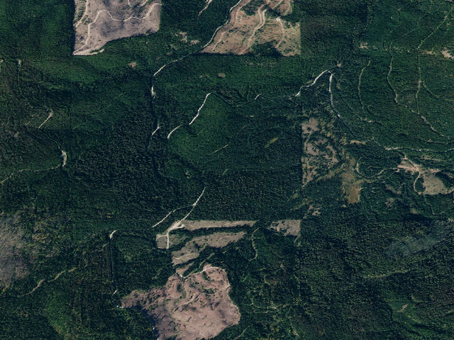 Aerial image of USFS dispersed camp — ID #537