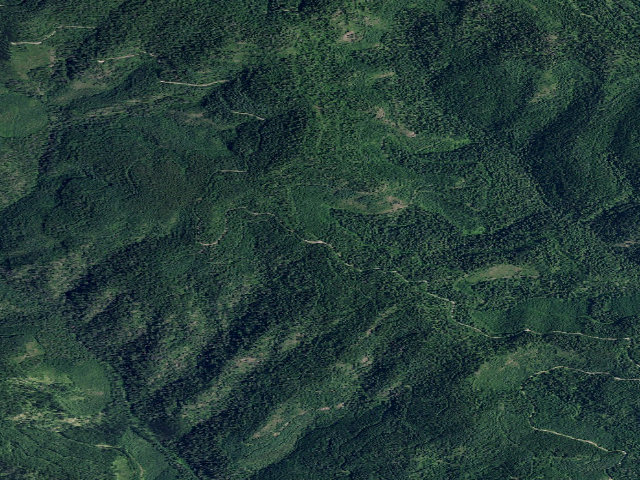 Aerial image of USFS dispersed camp — ID #539