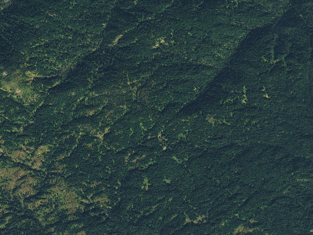 Aerial image of USFS dispersed camp — ID #541