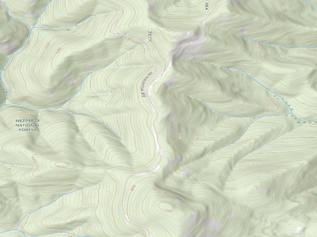 USGS topographic map of USFS dispersed camp — ID #555