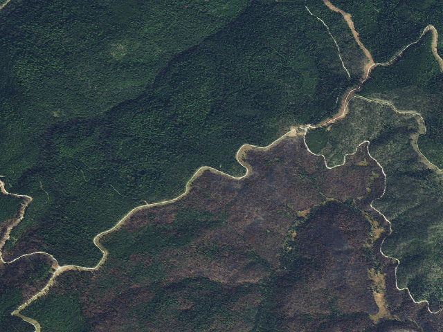 Aerial image of USFS dispersed camp — ID #558