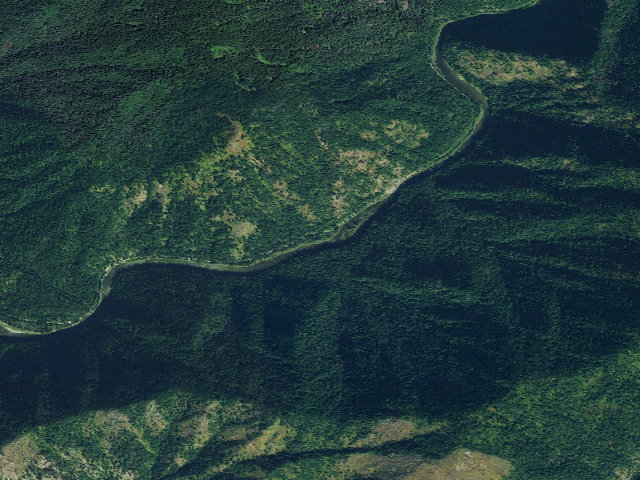 Aerial image of USFS dispersed camp — ID #559