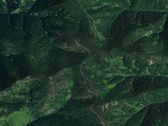 Aerial image of USFS dispersed camp — ID #56