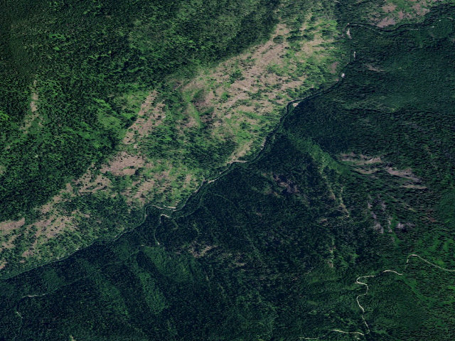 Aerial image of USFS dispersed camp — ID #566