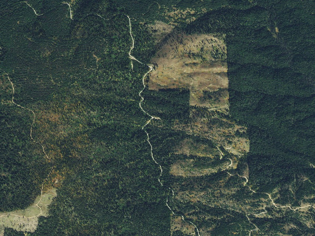 Aerial image of USFS dispersed camp — ID #575