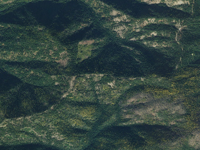 Aerial image of USFS dispersed camp — ID #580