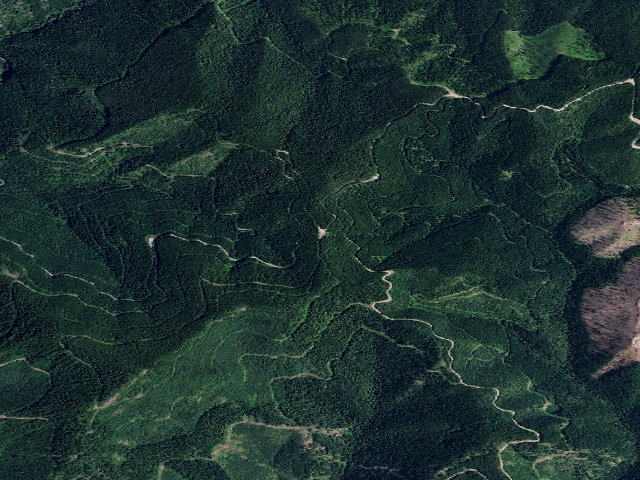 Aerial image of USFS dispersed camp — ID #589