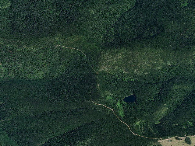 Aerial image of USFS dispersed camp — ID #593