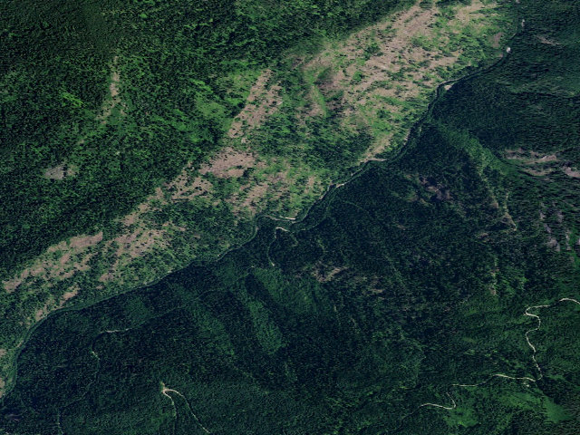 Aerial image of USFS dispersed camp — ID #594