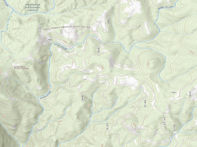 USGS topographic map of USFS dispersed camp — ID #596
