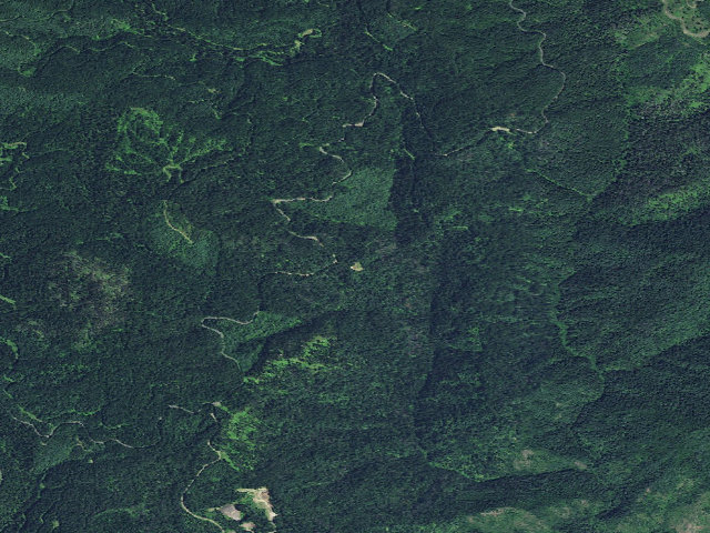 Aerial image of USFS dispersed camp — ID #598
