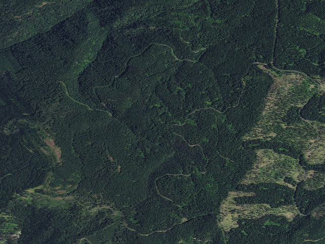 Aerial image of USFS dispersed camp — ID #6