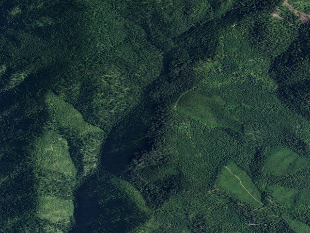 Aerial image of USFS dispersed camp — ID #60