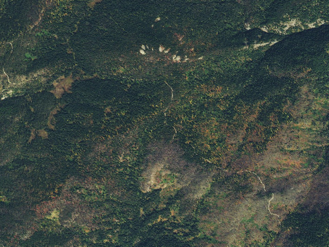 Aerial image of USFS dispersed camp — ID #608