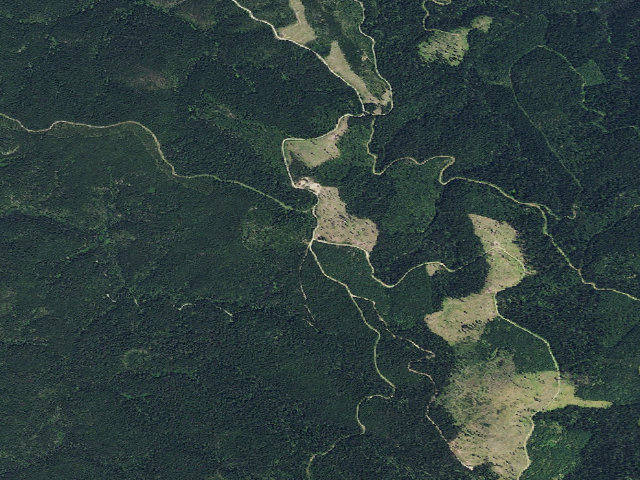 Aerial image of USFS dispersed camp — ID #609