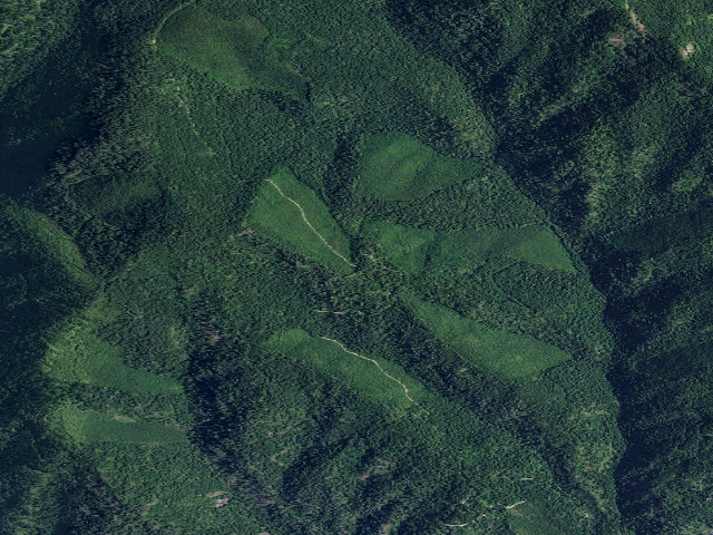 Aerial image of USFS dispersed camp — ID #614